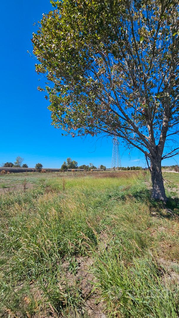 Vendita terreno agricolo - Vista 4