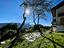 Immagine 17