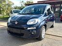 fiat-panda-1-2-easy