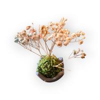 Mini Kokedama Artigianale con Fiori Secchi