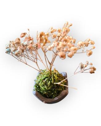 Mini Kokedama Artigianale con Fiori Secchi
