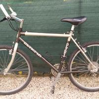 Mountain-bike
