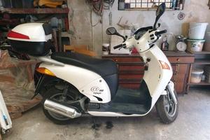 Honda chiocciola 