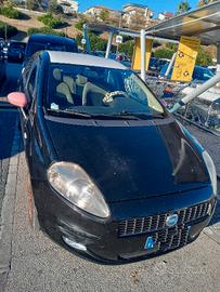 Grande punto neopatentati