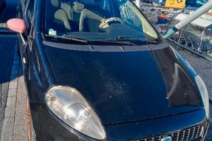 Grande punto neopatentati