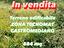Immagine 7