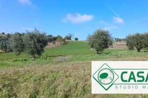 Terreno a Macerata