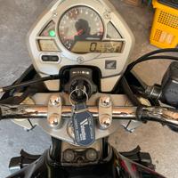 Hornet 600