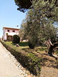 Cerveteri /Marina di S.Nicola /Palid. Bambin Gesù