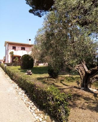 Cerveteri /Marina di S.Nicola /Palid. Bambin Gesù