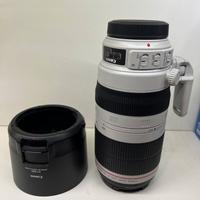 Canon EF 100-400 F4.5-5.6L IS II USM