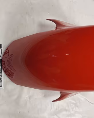 PARAFANGO ANTERIORE ORIGINALE ROSSO DUCATI PANIGAL