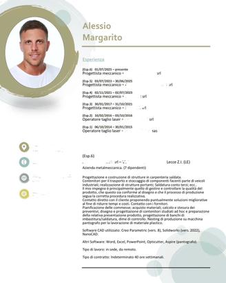Disegnatore meccanico