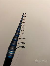 Canna bolognese daiwa