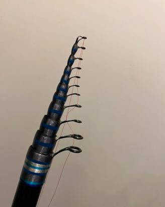 Canna bolognese daiwa