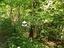 Immagine 22