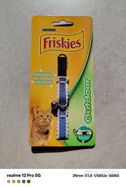 Collarino gatto