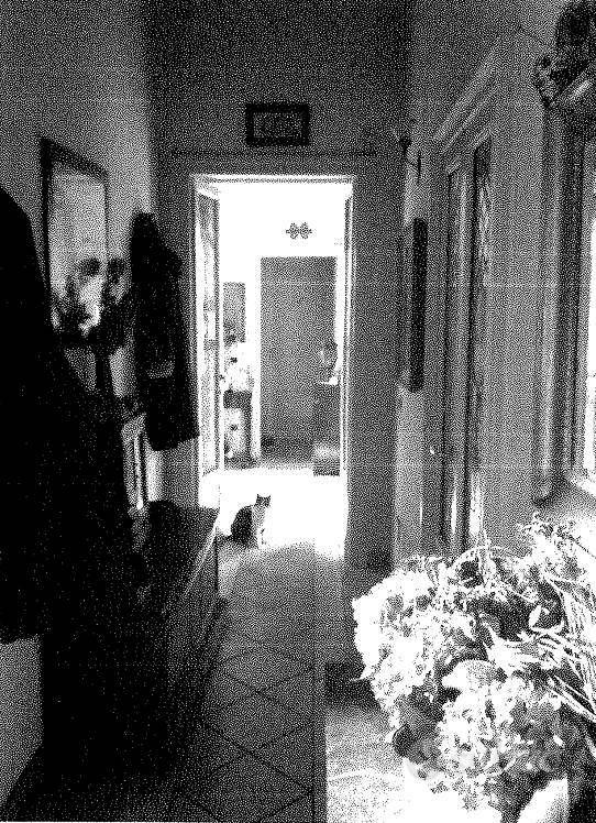 Casa – Bollate, Cantun Sciatin - Vista 5
