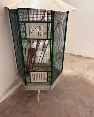 Gabbia per ucelli