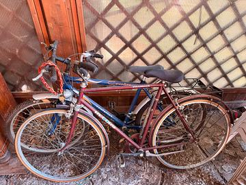 Coppia di biciclette vintage economiche