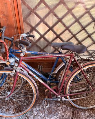 Coppia di biciclette vintage economiche