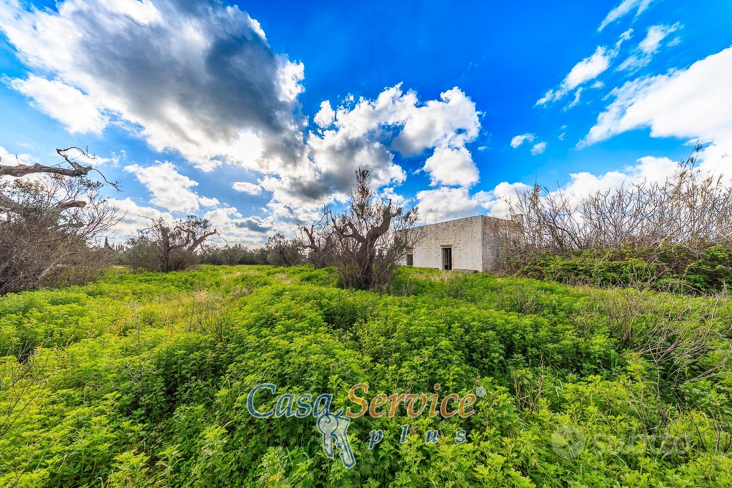 Terreno Edificabile di ha 2,4 con Rudere ad Alezio - Vista 3