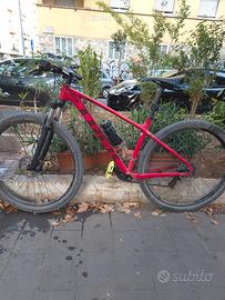 Mountain Bike Trek Merlin 4