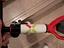 Immagine 5
