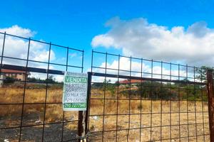 Ampio terreno in parte agricolo 2 ettari RECINTATO