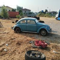 Volkswagen Maggiolino 