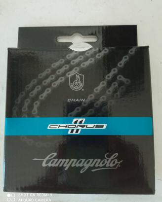 catena campagnolo 