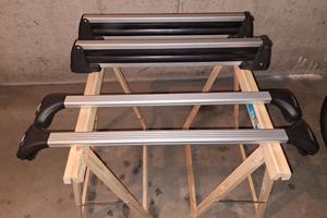 Barre portatutto e portasci 