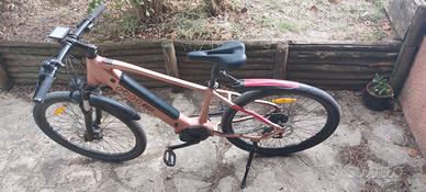 E-Bike Gogobest GM26 Motore Centrale Ananda