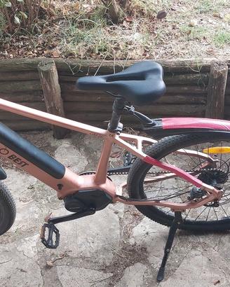 E-Bike Gogobest GM26 Motore Centrale Ananda