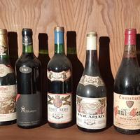BOTTIGLIE VINO
