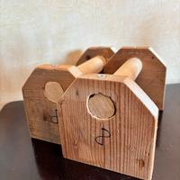 Parallele legno calisthenics