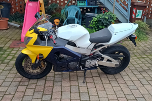 Honda CBR 900 RR FIREBLADE modello 929 anno 2001