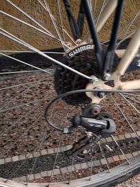 Bicicletta uomo city