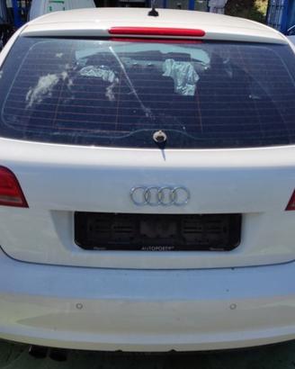 Portellone nudo AUDI A3 del 2008