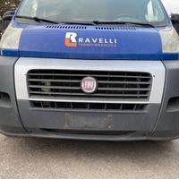 MUSATA PER FIAT DUCATO 2.3 MTJ ANNO 2010