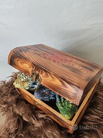 Statuine di cuccioli di Draghi - Trono di spade