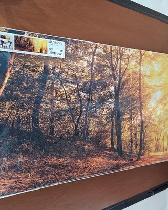 Pannello da muro-Autumn scenery
