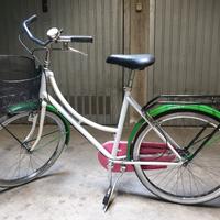 bicicletta da donna 24