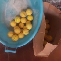 10 palline tennis
