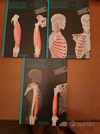 CD -ROM Anatomia dell' apparato locomotore