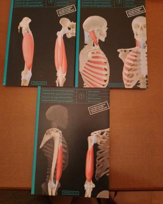 CD -ROM Anatomia dell' apparato locomotore