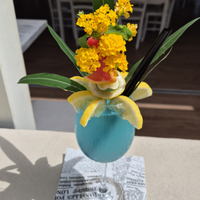 Barman - Barista - Responsabile - Gestore