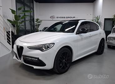 Alfa Romeo Stelvio 2.0 T Q4 Veloce 16V