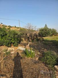 Terreno - Caltagirone