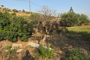 Terreno - Caltagirone